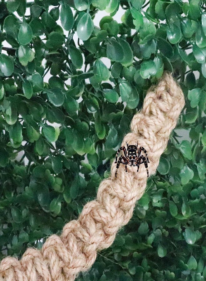 MHLLGN Jumping Spider Enclosure Accessories, 2 Pack Climbing Rope Bridge with Magnets, Braided Rope Bridge for Spiders, Tarantula Enclosure Accessories - Image 4